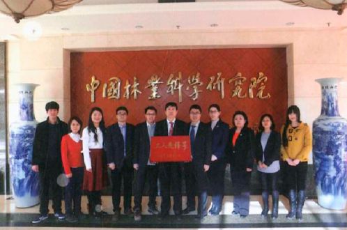 《树开云 开云体育平台人匠心 品质生活(图2)