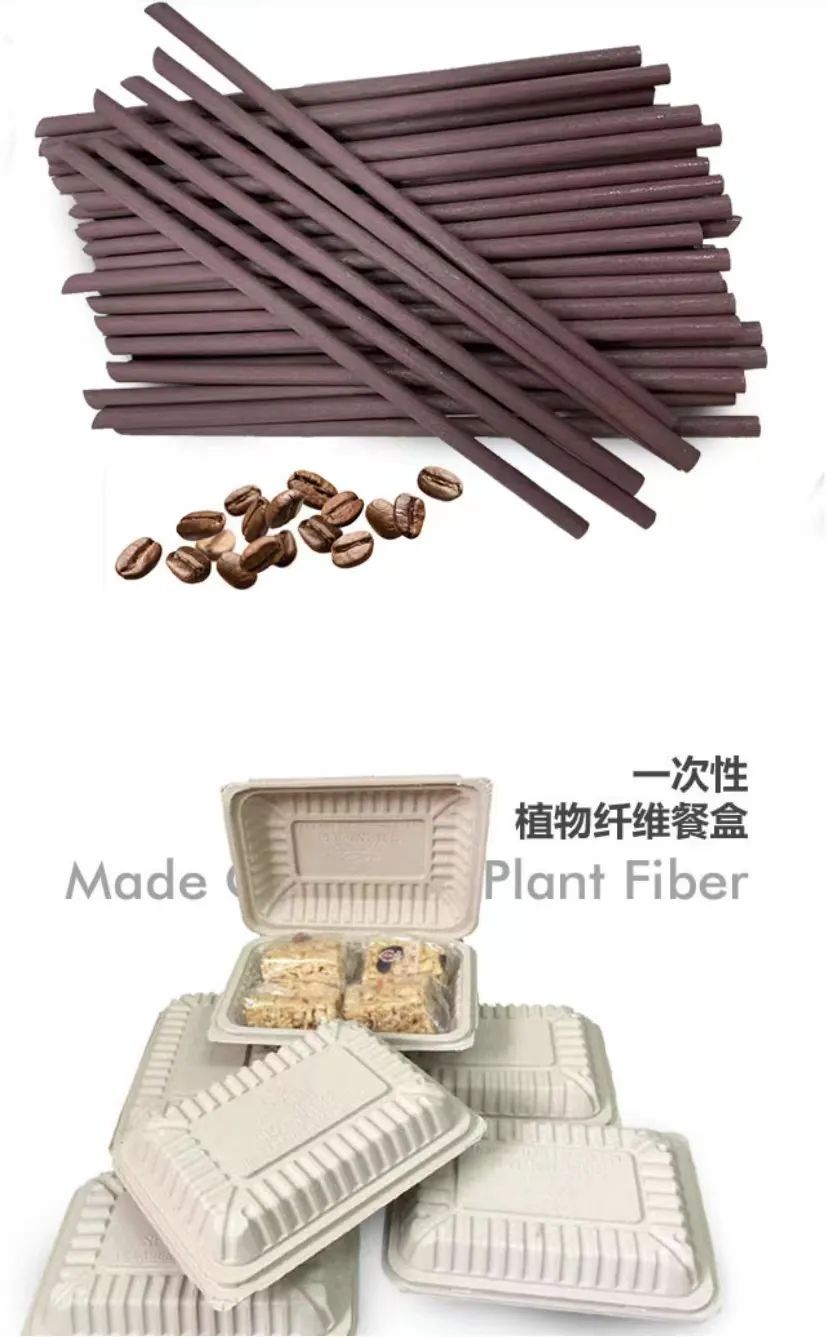 赖杰汉：微光照亮湾区做环保路上的坚守者开云 开云体育平台(图3)