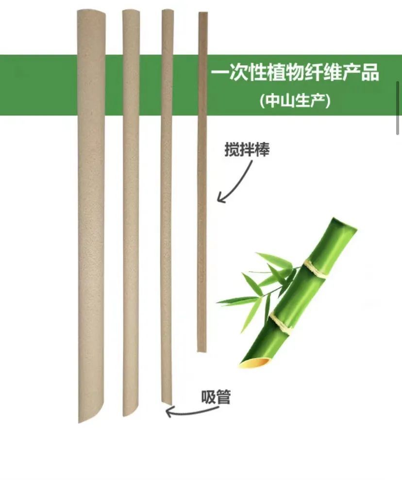 赖杰汉：微光照亮湾区做环保路上的坚守者开云 开云体育平台(图4)